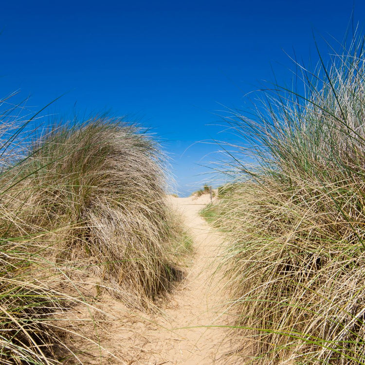 Ein Haus am Meer