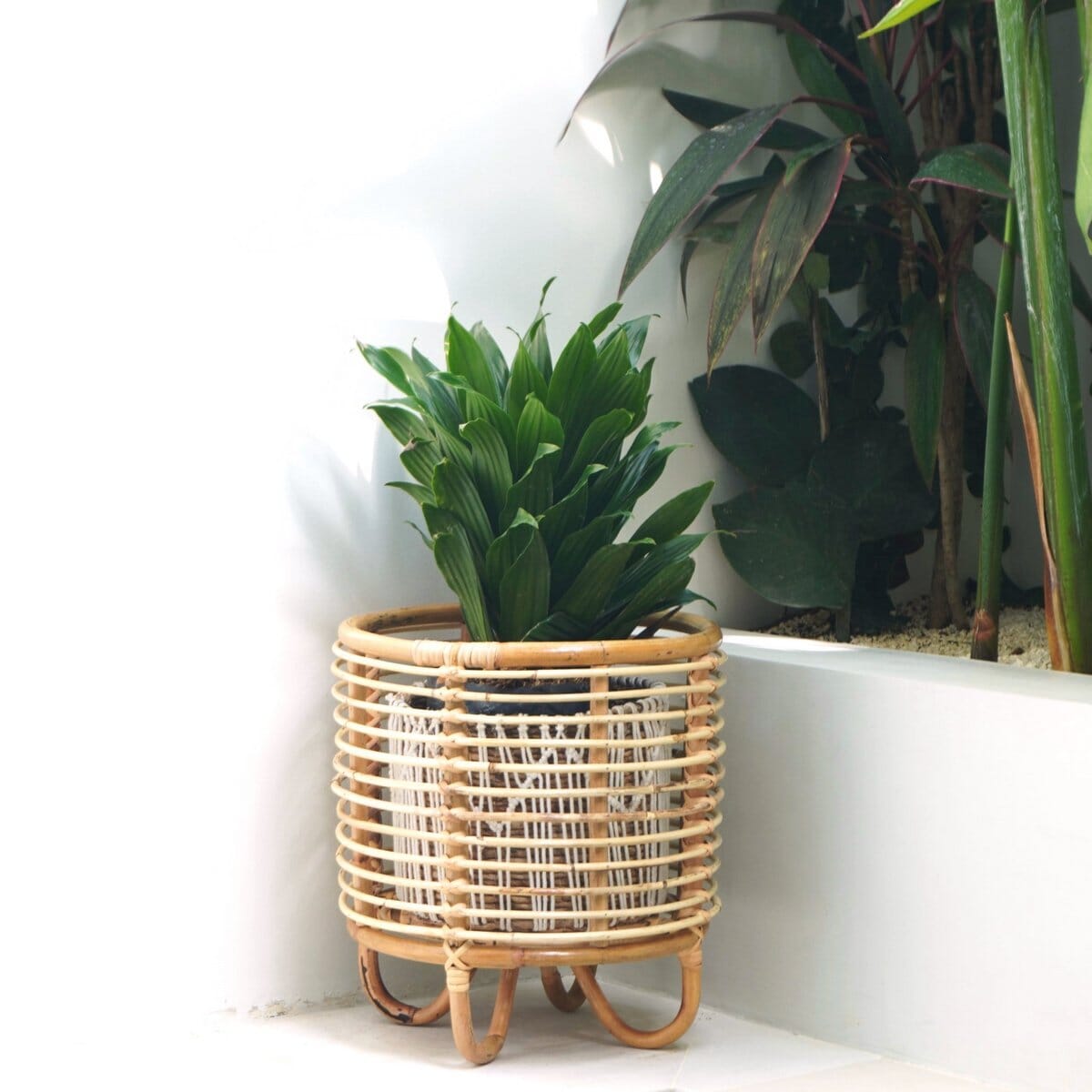 Rattan-Pflanzenständer MALANG Pflanzenständer Soeji
